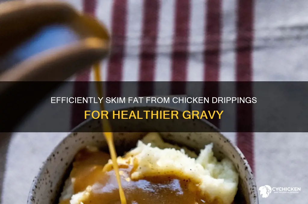 how to skim fat from chicken drippings