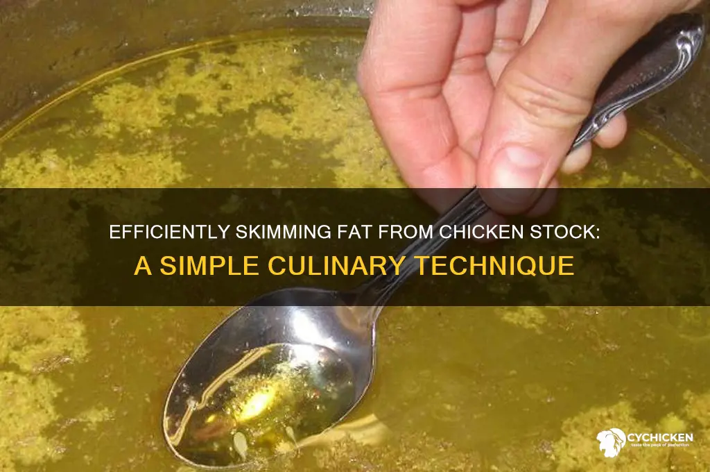 how to skim off fat from chicken stock