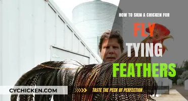 Skinning Chickens for Fly-Tying: A Guide to Feather Preparation