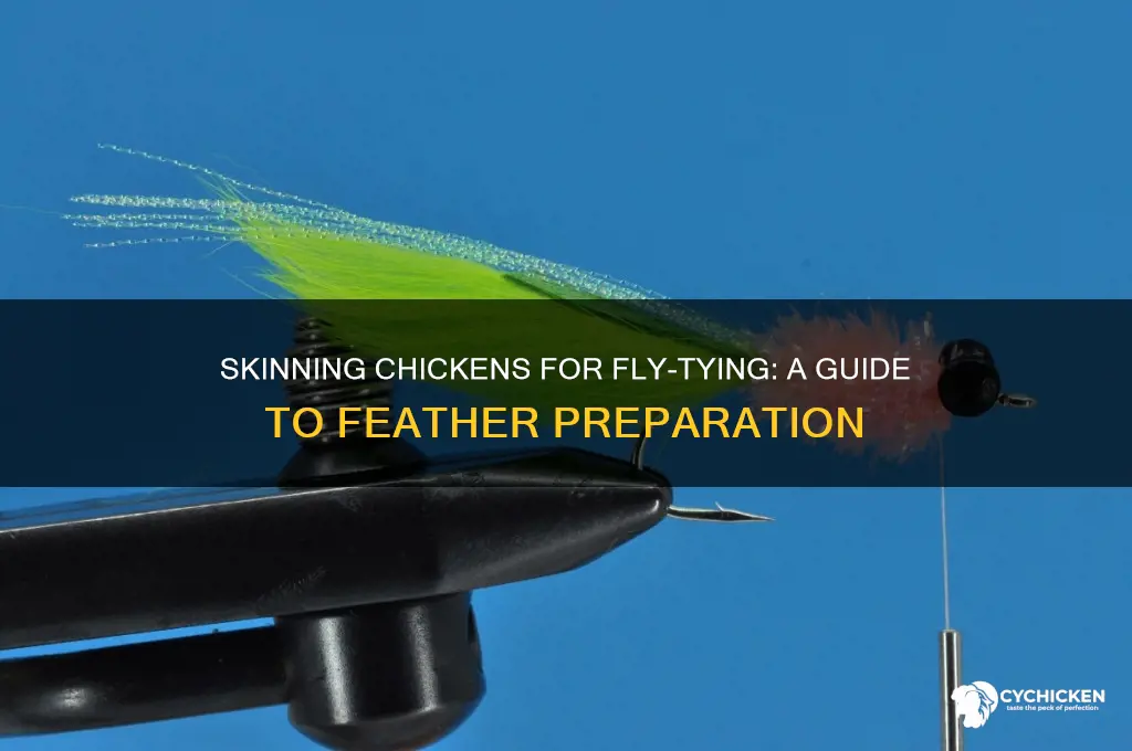 how to skin a chicken for fly tying feathers