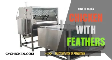 Mastering the Art of Skinning a Feathered Chicken: Step-by-Step Guide