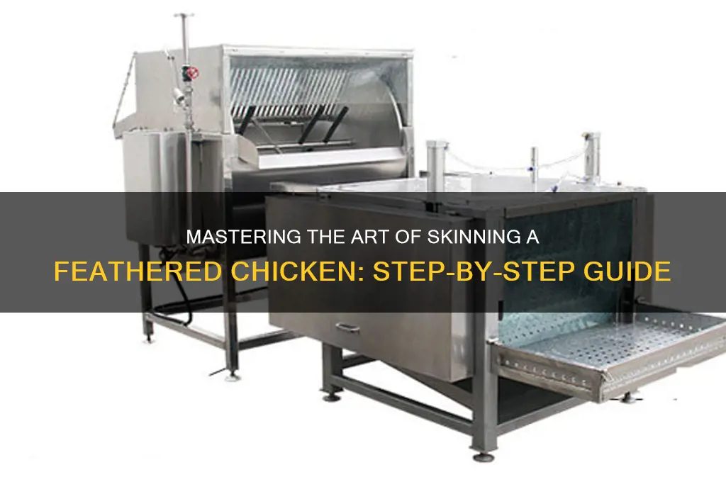 how to skin a chicken with feathers