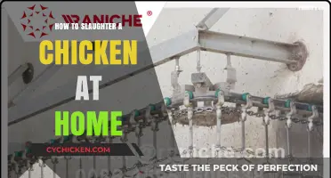 Home Chicken Slaughter: A Step-by-Step Guide for Beginners