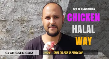 Halal Chicken Slaughter: A Step-by-Step Humane and Ethical Guide