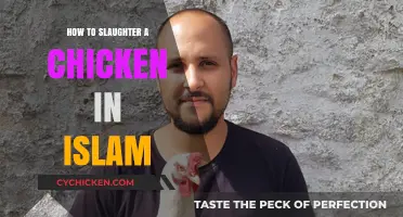Halal Chicken Slaughter: A Step-by-Step Islamic Guide