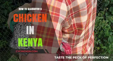 Step-by-Step Guide to Humane Chicken Slaughtering in Kenya