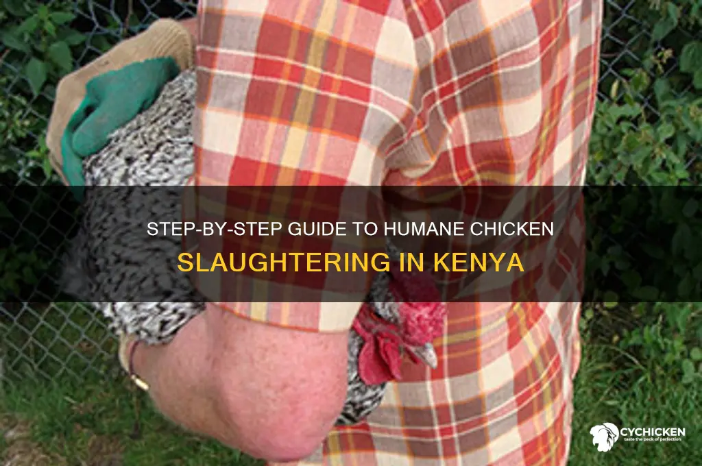 how to slaughter a chicken in kenya