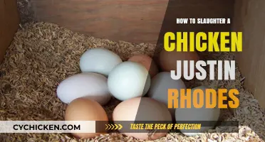 Humane Chicken Slaughter: Justin Rhodes' Step-by-Step Guide for Beginners