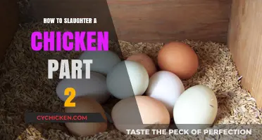Mastering Humane Chicken Slaughter: Step-by-Step Guide, Part Two