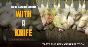 Humane Knife Techniques for Slaughtering Chickens at Home