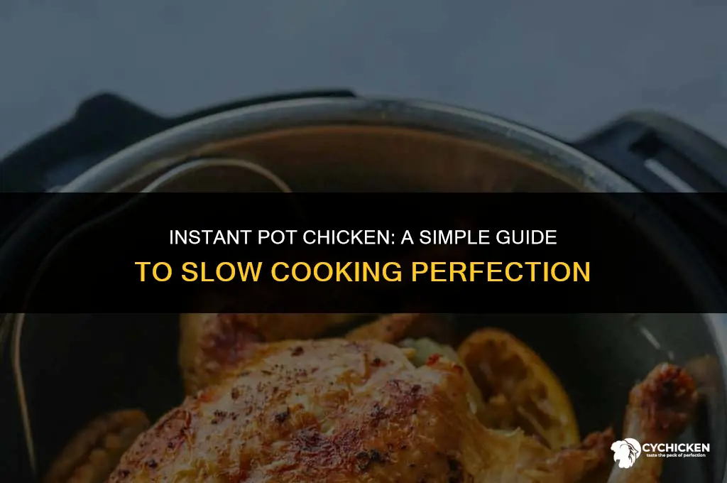 how to slow cook a chicken in an instant pot