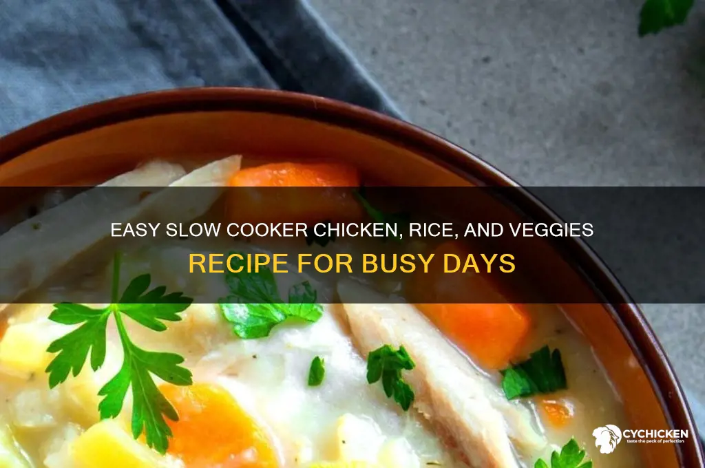 how to slowcook chicken rice and veggies