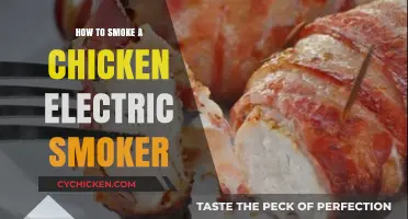 Mastering Electric Smoker Techniques: Perfectly Smoked Chicken Every Time