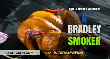 Smoking Chicken: Bradley Smoker Style