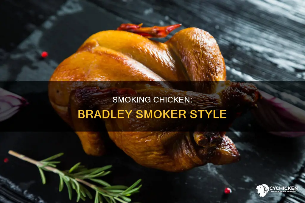 how to smoke a chicken in a bradley smoker