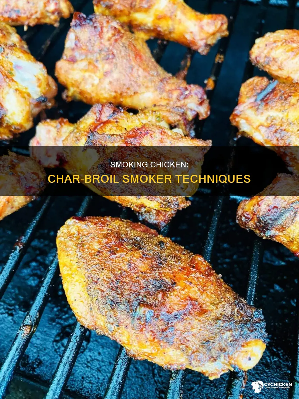 how to smoke a chicken in a char broil smoker