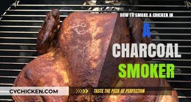 Smoking Chicken: Charcoal Smoker Techniques for Beginners