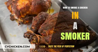 Mastering Smoked Chicken: Tips for Perfect Flavor in Your Smoker