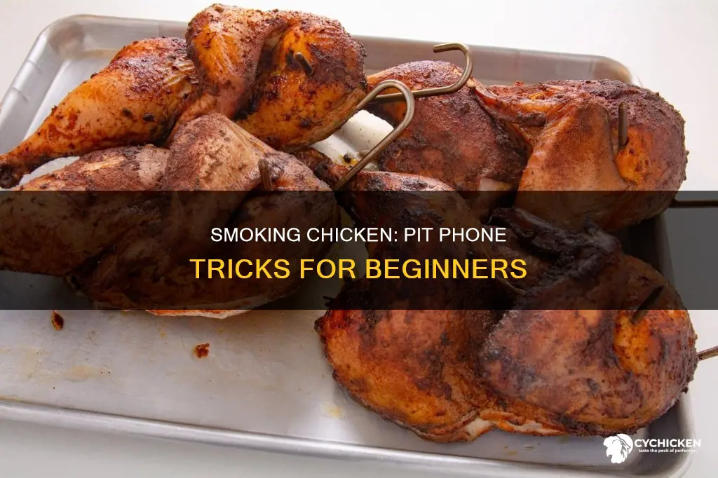 how to smoke a chicken on a pit phone