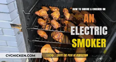 Smoking Chicken: Electric Smoker Style
