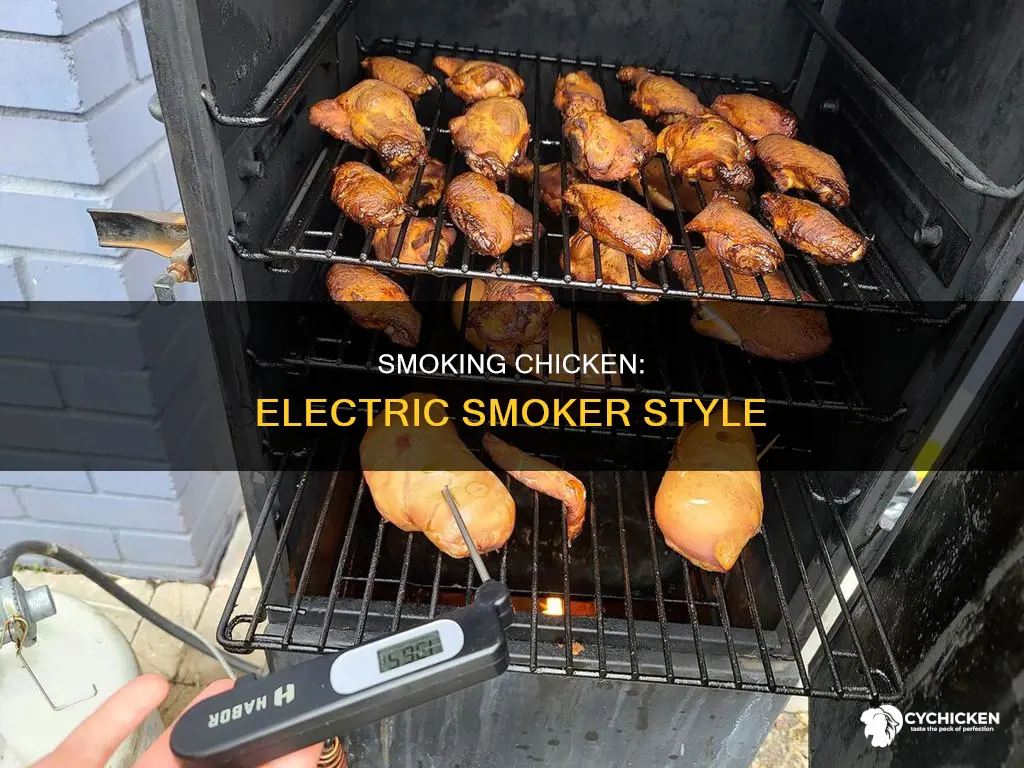 how to smoke a chicken on an electric smoker