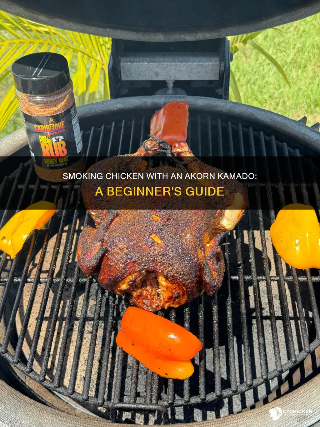 how to smoke a chicken with a akorn kamado