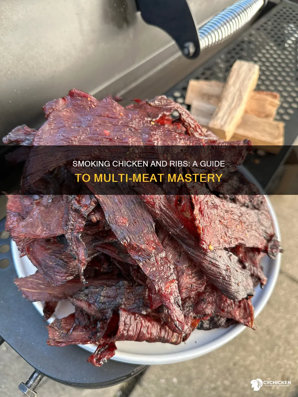 how to smoke chicken and ribs at the same time