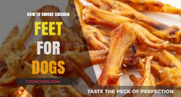 Smoking Chicken Feet for Dogs: A Tasty, Healthy Treat Guide