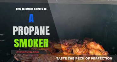 Mastering Propane Smoker Techniques for Perfectly Smoked Chicken Every Time