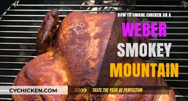 Smoking Chicken on a Weber: The Ultimate Guide