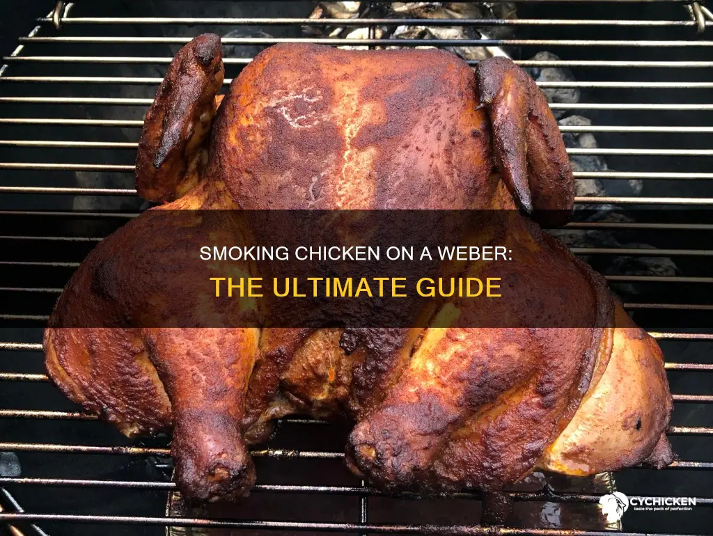 how to smoke chicken on a weber smokey mountain