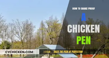 Secure Your Flock: Effective Ways to Snake-Proof Your Chicken Pen