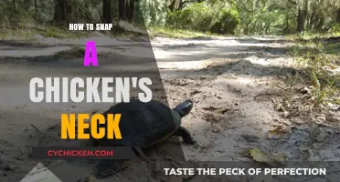Quick and Humane: How to Snap a Chicken's Neck Safely