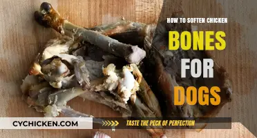Safe and Easy Ways to Soften Chicken Bones for Your Dog