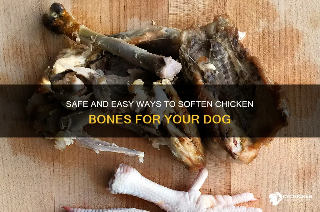 how to soften chicken bones for dogs