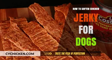Softening Chicken Jerky for Dogs: Simple Tips for Easier Chewing
