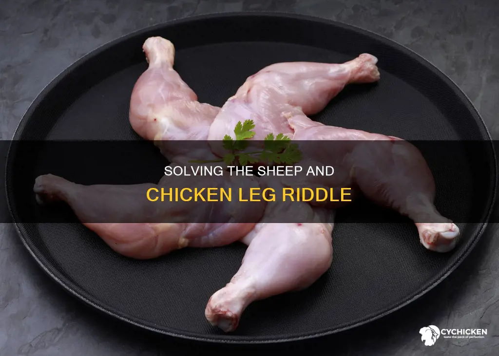 how to solve the amount of sheep and chicked legs