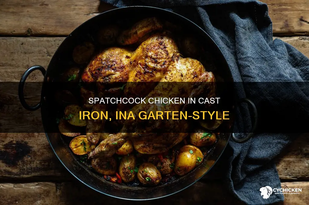 how to spatchcock a chicken cast iron ina garten
