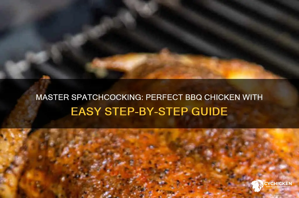 how to spatchcock a chicken for bbq