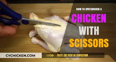 Master Spatchcocking: Easy Chicken Prep with Scissors in Minutes