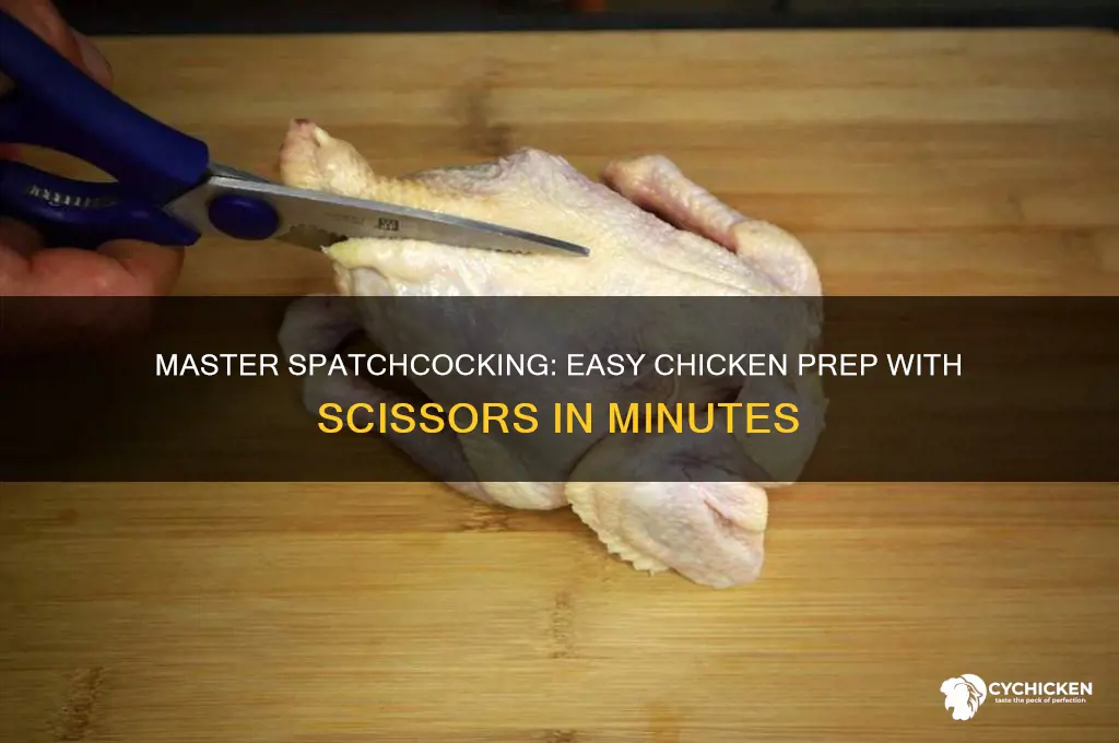 how to spatchcock a chicken with scissors