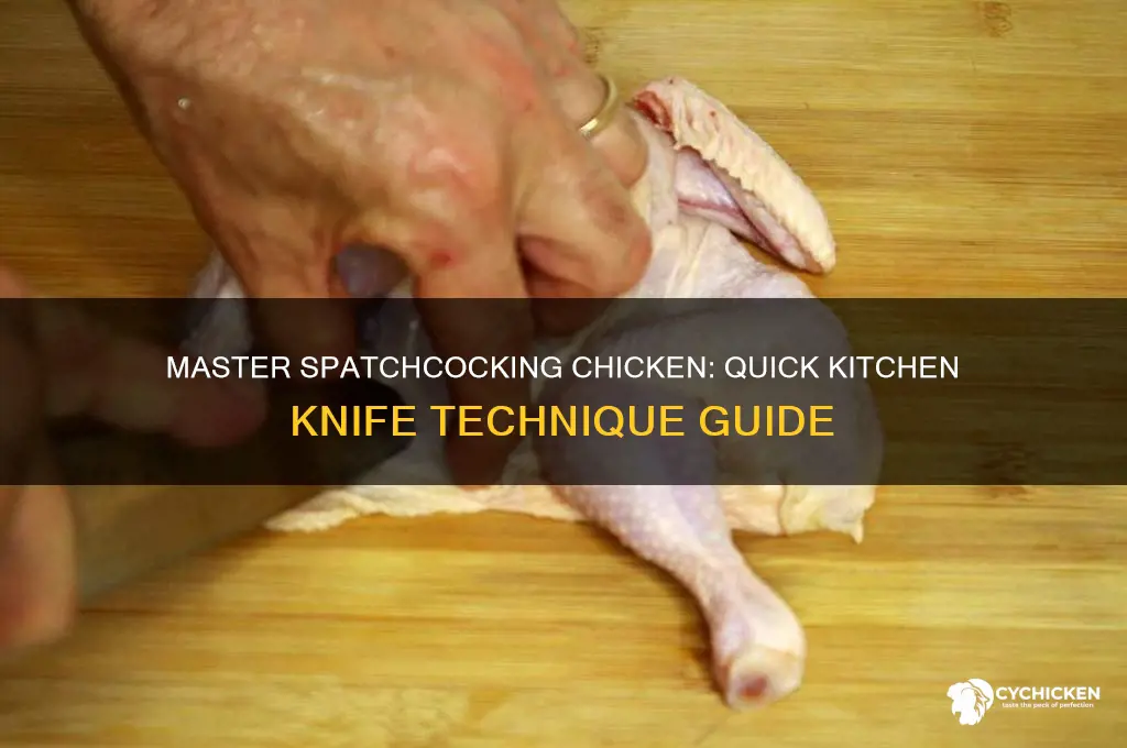 how to spatchcock a chicken without shears