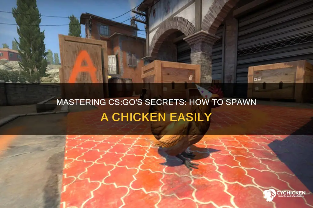 how to spawn a chicken in csgo