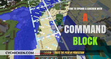 Command Block Chicken Spawning: A Step-by-Step Guide