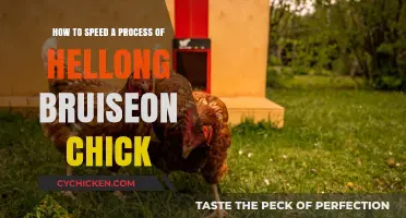 Healing Bruises on Chicks: A Quick Guide