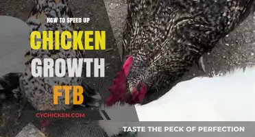 Accelerate Chicken Growth in FTB: Proven Tips and Strategies