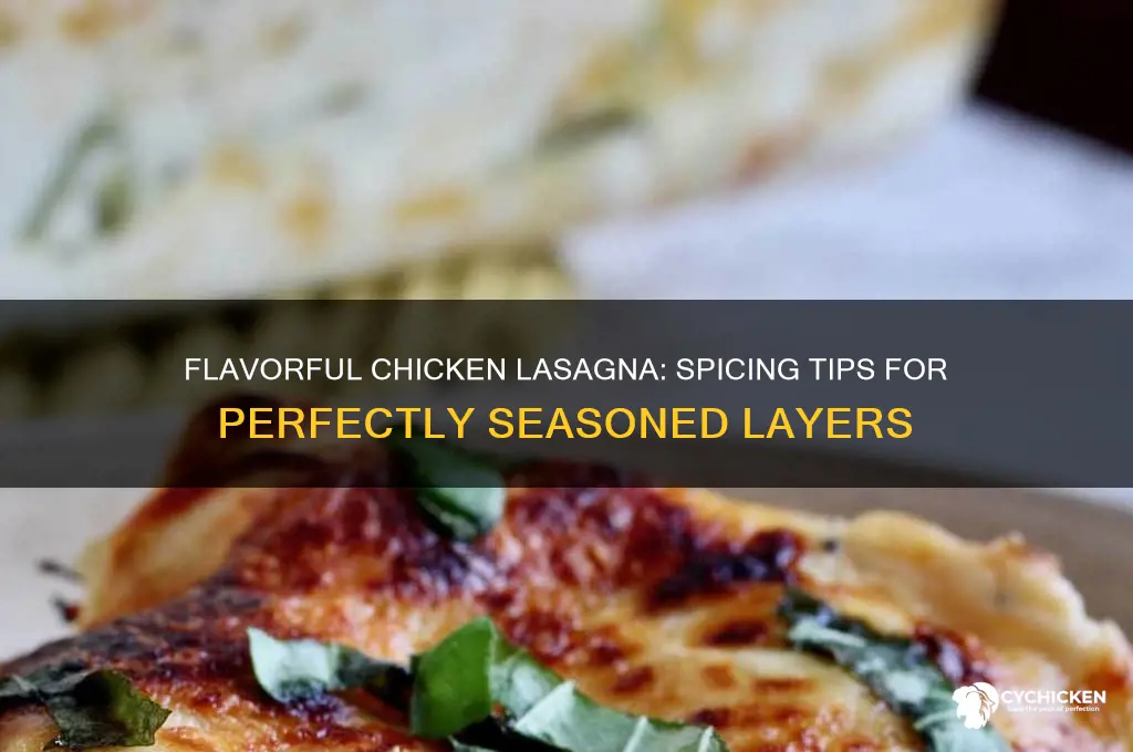 how to spice chicken for chicken lasagna