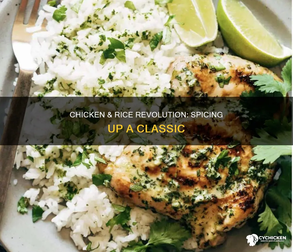 how to spice it up chicken and rice diet
