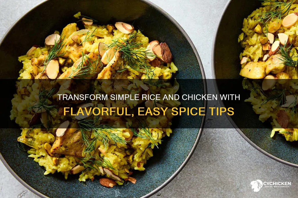 how to spice up rice and chicken