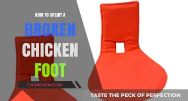 Splinting a Broken Chicken Foot: A Step-by-Step Guide for Poultry Care